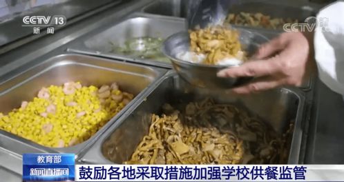 筑牢校園飲食安全網 教育部推動加強供餐監管，守護學生健康底線